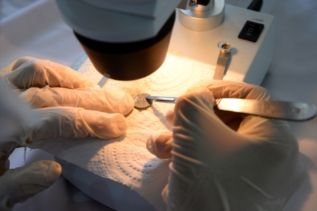 Bitlis Kalesi'nde Bizans ve Osmanlı sikkeleri bulundu